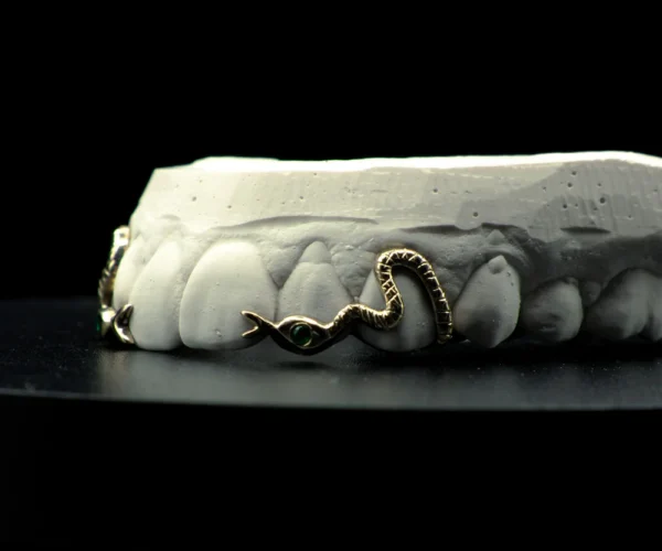 Serpent avec pierre