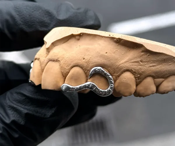 Serpent sans pierre